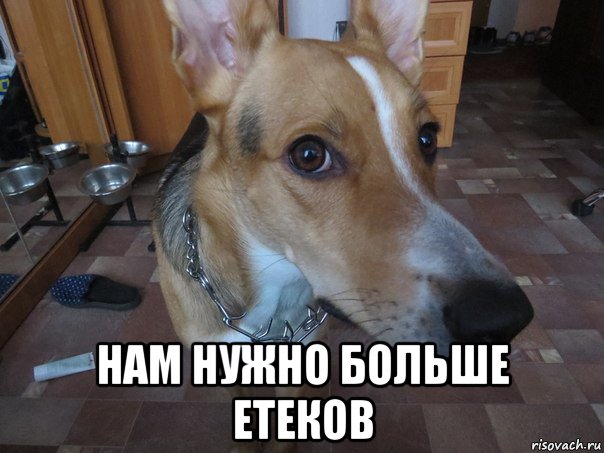  нам нужно больше етеков