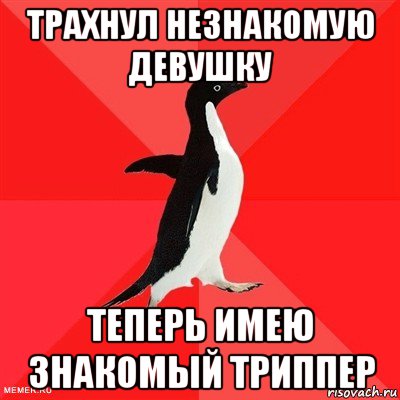 трахнул незнакомую девушку теперь имею знакомый триппер, Мем  социально-агрессивный пингвин