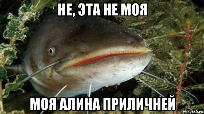 не, эта не моя моя алина приличней