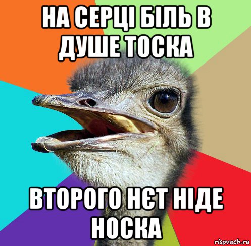 на серці біль в душе тоска второго нєт ніде носка
