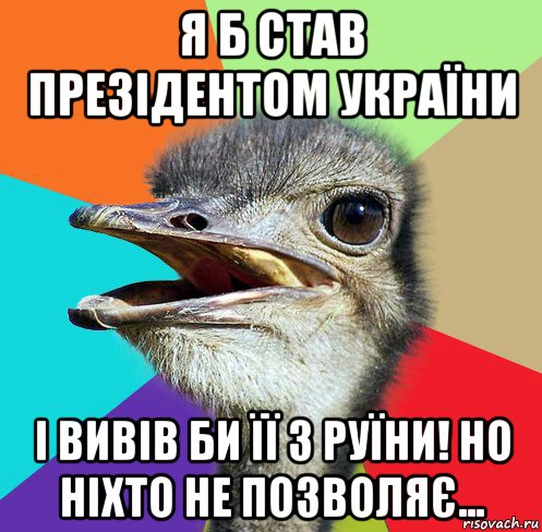 я б став презідентом україни і вивів би її з руїни! но ніхто не позволяє...