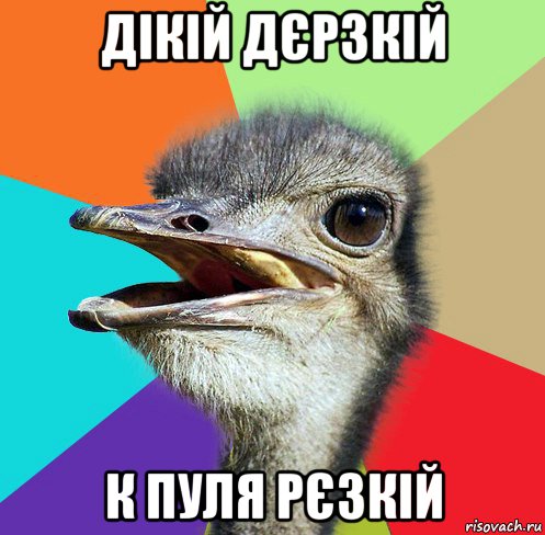 дікій дєрзкій к пуля рєзкій