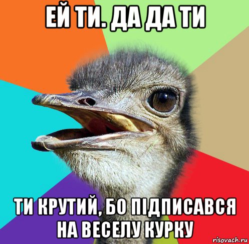 ей ти. да да ти ти крутий, бо підписався на веселу курку