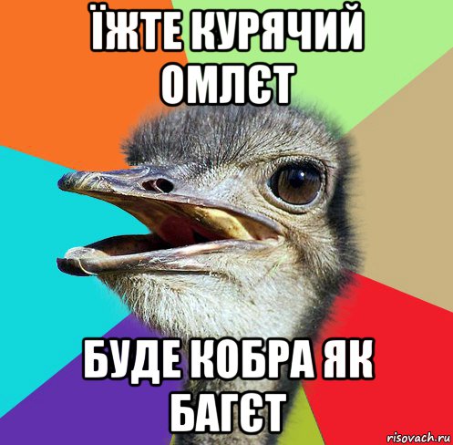 їжте курячий омлєт буде кобра як багєт