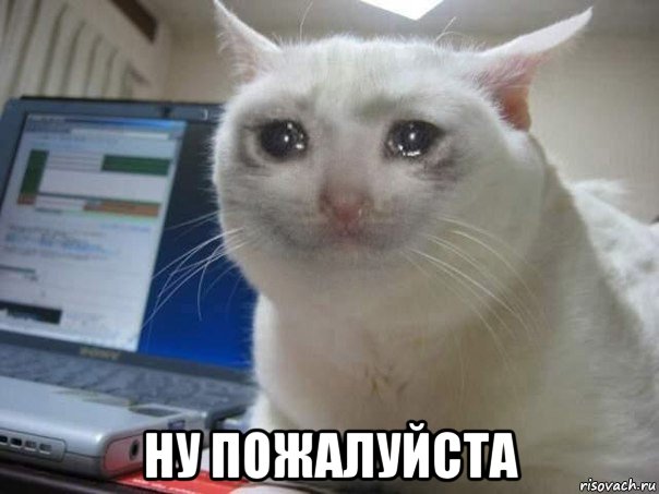  ну пожалуйста