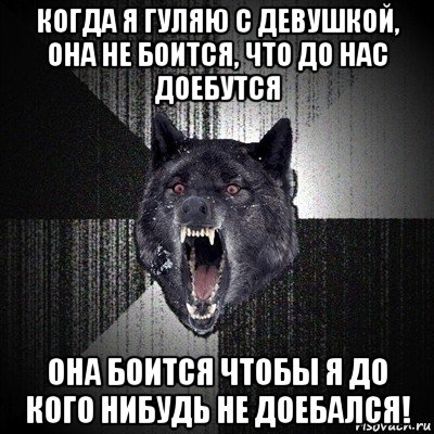 когда я гуляю с девушкой, она не боится, что до нас доебутся она боится чтобы я до кого нибудь не доебался!, Мем Сумасшедший волк