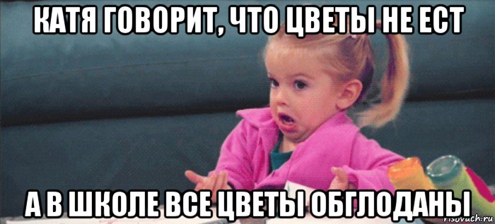 катя говорит, что цветы не ест а в школе все цветы обглоданы, Мем  Ты говоришь (девочка возмущается)