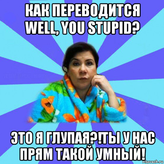 как переводится well, you stupid? это я глупая?!ты у нас прям такой умный!, Мем типичная мама