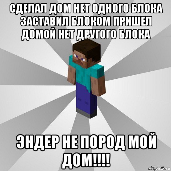 сделал дом нет одного блока заставил блоком пришел домой нет другого блока эндер не пород мой дом!!!!, Мем Типичный игрок Minecraft