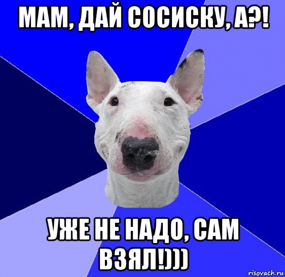 мам, дай сосиску, а?! уже не надо, сам взял!)))