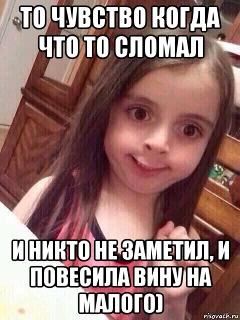 то чувство когда что то сломал и никто не заметил, и повесила вину на малого), Мем   то чувство когда