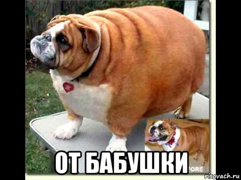  от бабушки