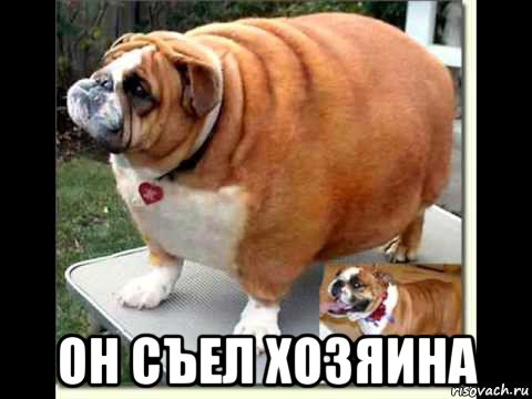  он съел хозяина