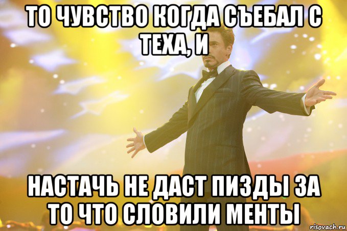 то чувство когда съебал с теха, и настачь не даст пизды за то что словили менты, Мем Тони Старк (Роберт Дауни младший)