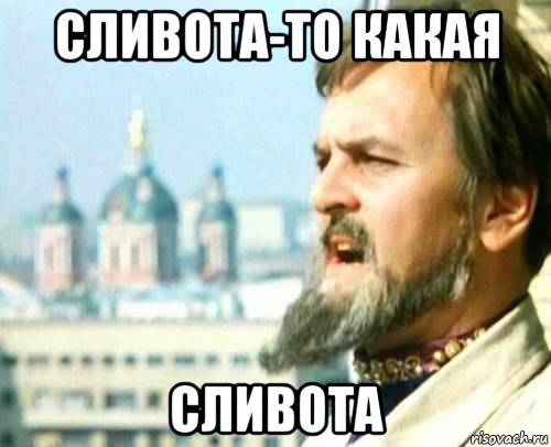 сливота-то какая сливота