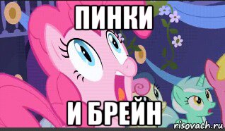 пинки и брейн