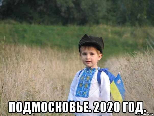  подмосковье. 2020 год., Мем Украина - Единая