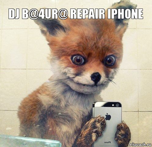 DJ b@4ur@ repair iphone, Комикс Селфи упоротой лисы