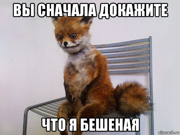 вы сначала докажите что я бешеная, Мем Упоротый лис