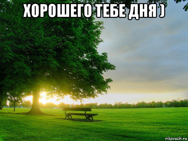 хорошего тебе дня ) , Мем утро