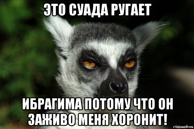 это суада ругает ибрагима потому что он заживо меня хоронит!, Мем   Я збагоен