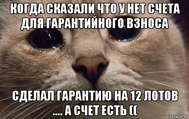 когда сказали что у нет счета для гарантийного взноса сделал гарантию на 12 лотов .... а счет есть ((, Мем   В мире грустит один котик