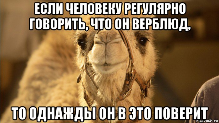 если человеку регулярно говорить, что он верблюд, то однажды он в это поверит