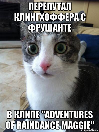 перепутал клингхоффера с фрушанте в клипе "adventures of raindance maggie"