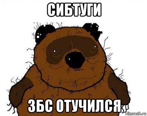сибтуги збс отучился, Мем вонни