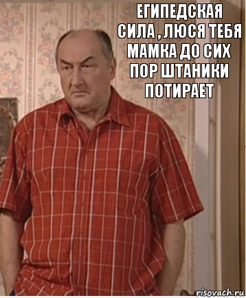 Египедская сила , люся тебя мамка до сих пор штаники потирает, Комикс Николай Петрович Воронин