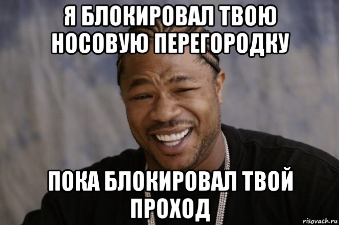 я блокировал твою носовую перегородку пока блокировал твой проход, Мем Xzibit