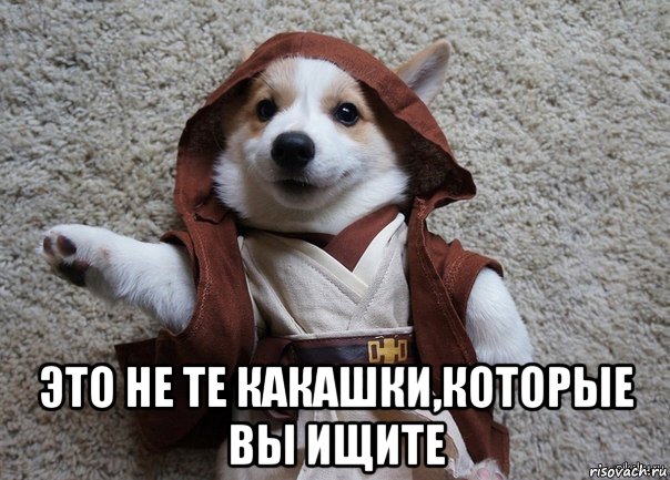  это не те какашки,которые вы ищите