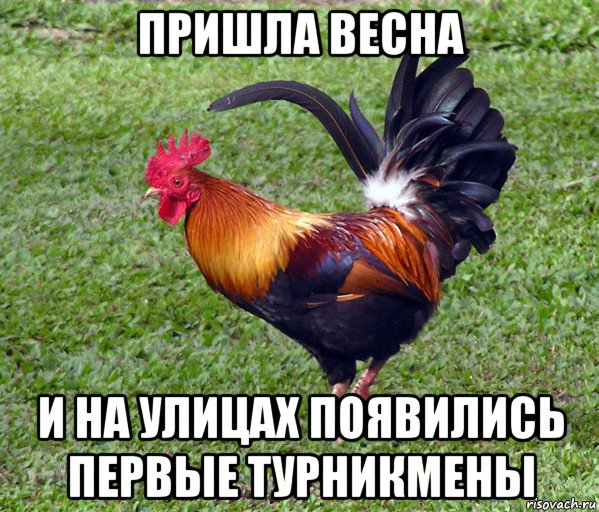 пришла весна и на улицах появились первые турникмены