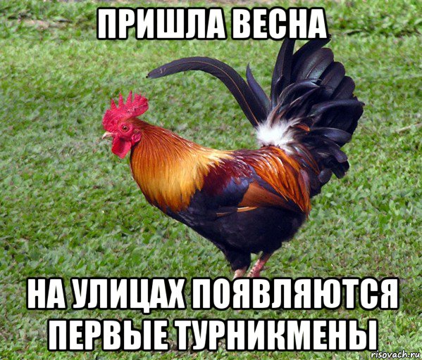 пришла весна на улицах появляются первые турникмены