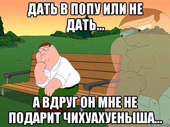 дать в попу или не дать... а вдруг он мне не подарит чихуахуеныша..., Мем Задумчивый Гриффин