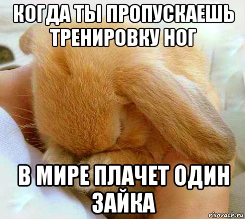 когда ты пропускаешь тренировку ног в мире плачет один зайка