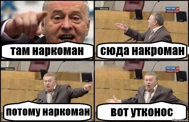 там наркоман сюда накроман потому наркоман вот утконос, Комикс Жириновский