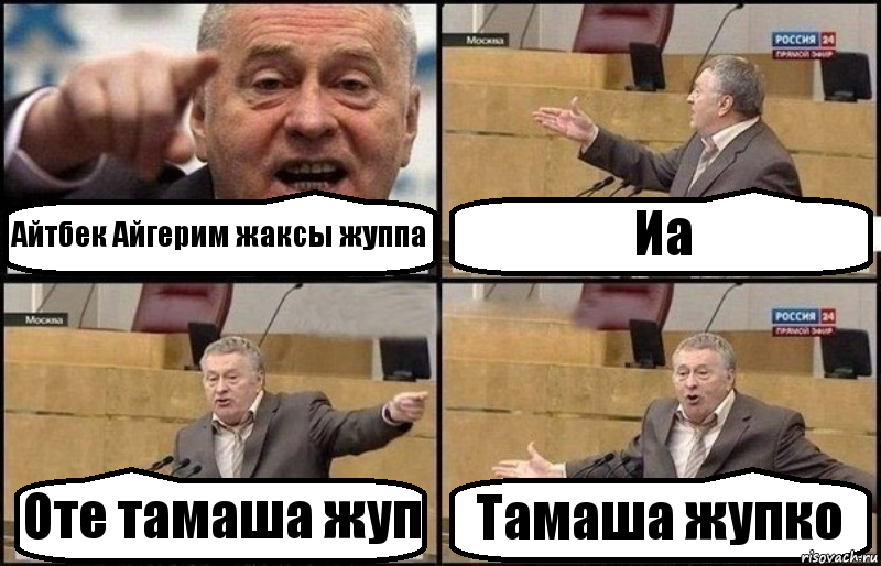 Айтбек Айгерим жаксы жуппа Иа Оте тамаша жуп Тамаша жупко, Комикс Жириновский