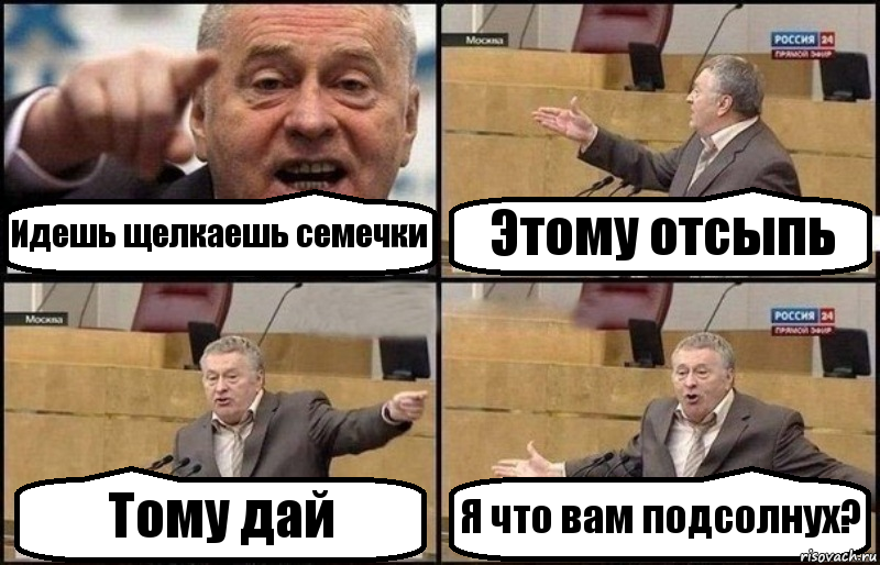 Идешь щелкаешь семечки Этому отсыпь Тому дай Я что вам подсолнух?, Комикс Жириновский