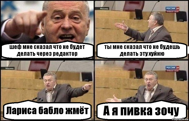 шеф мне сказал что не будет делать через редактор ты мне сказал что не будешь делать эту хуйню Лариса бабло жмёт А я пивка зочу, Комикс Жириновский