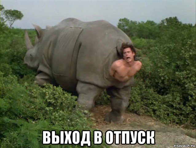  выход в отпуск, Мем ЖИЗА