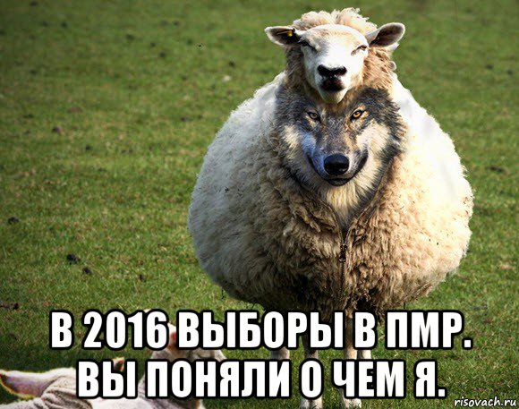  в 2016 выборы в пмр. вы поняли о чем я., Мем Злая Овца