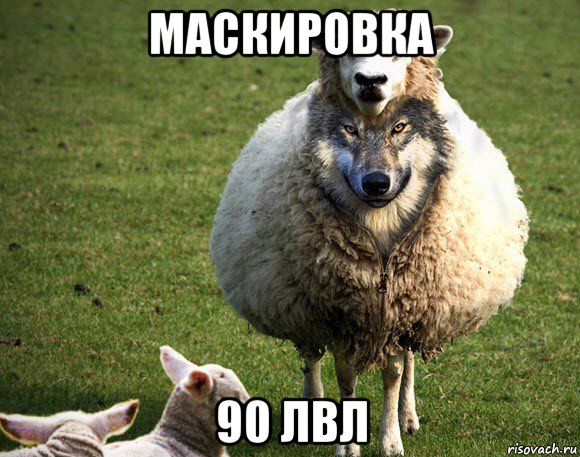 маскировка 90 лвл, Мем Злая Овца