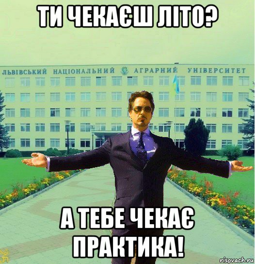 ти чекаєш літо? а тебе чекає практика!