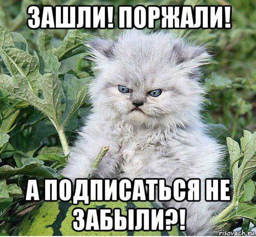 зашли! поржали! а подписаться не забыли?!