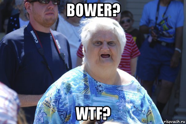 bower? wtf?, Мем Шта (Бабка wat)