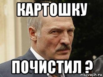 картошку почистил ?