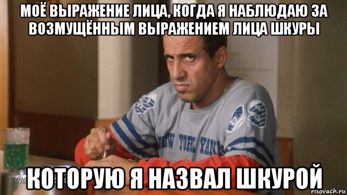 моё выражение лица, когда я наблюдаю за возмущённым выражением лица шкуры которую я назвал шкурой