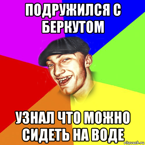 подружился с беркутом узнал что можно сидеть на воде, Мем Чоткий Едик