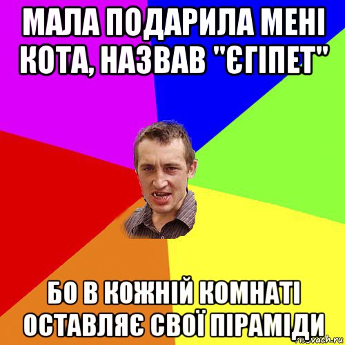 мала подарила мені кота, назвав "єгіпет" бо в кожній комнаті оставляє свої піраміди, Мем Чоткий паца